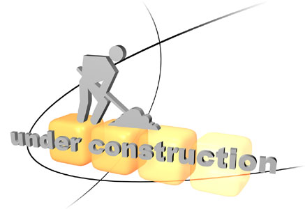 intercultural-business-coaching.net